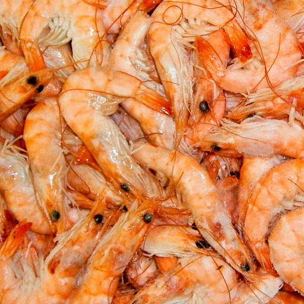 Alicosur, supermercados en Cádiz